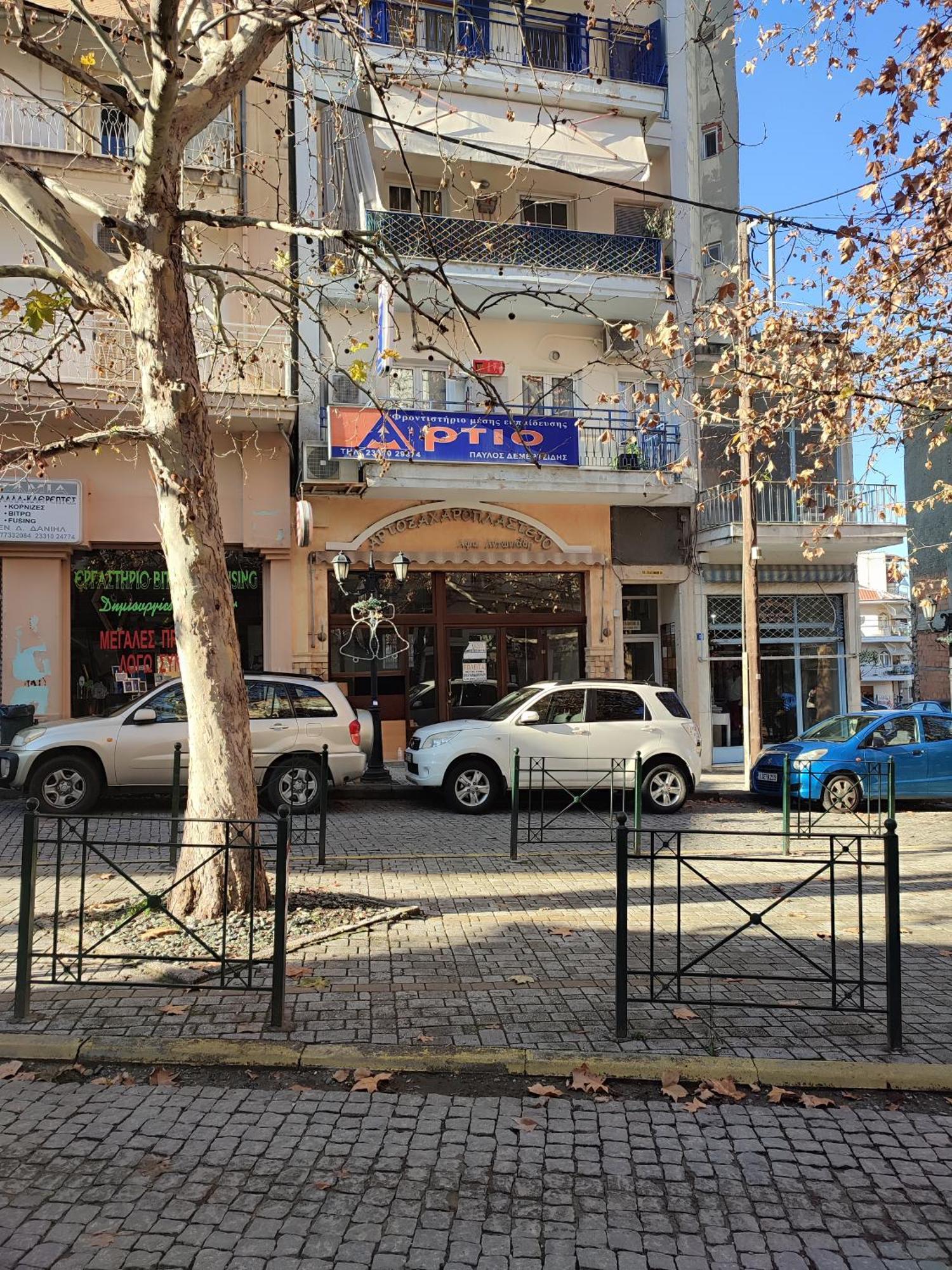 Ferienwohnung Ονειροπαγίδα Veria  Exterior foto
